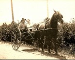 RPPC Horse and Buggy Ride Down A Country Road Happy Passengers Postcard D10 - $14.80