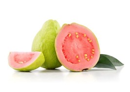 Organic Pink Guava Psidium Guajava40 Seeds 2024 Fresh Garden - $15.98