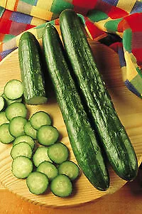 Cucumber Sweetest Yet 100 seeds - £19.90 GBP