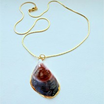 Beautiful Sea Shell Dipped 24 Gold Colored Necklace At - $24.45