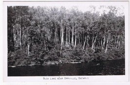 Ontario Postcard RPPC Duck Lake Near Orrville Ontario - £4.61 GBP