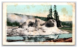 Grotto Geyser Yellowstone National Park UNP Detroit Publishing UDB Postcard W18 - £2.25 GBP