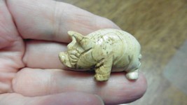 (Y-PIG-ST-563) little Tan white pig piglet GEM gemstone FIGURINE carving... - $14.01