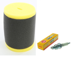 Tune up Kit Air Filter NGK Spark Plug Suzuki King Quad 300 Quadrunner 25... - $13.98