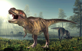 Schleich Tyrannosaurus Rex/ T-Rex 11.0 x 3.7 x 5.5 inch Dinosaur Figurine - £13.49 GBP