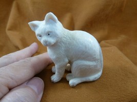 CAT-W8 little Cat kitten shed ANTLER figurine Bali detailed carving love... - $98.87