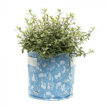Beatrix Potter Fabric Eco-Pot (Blue) - Small - $24.60