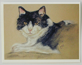 Tabby Cat Feline Note Cards Solomon - $12.50