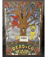 Dead &amp; Company 2021 Raleigh NC Concert 8x12 Metal Sign – Grateful Dead B... - €14,48 EUR