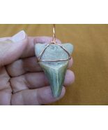 (S243-1) big 1-7/8&quot; Fossil MEGALODON Shark Tooth copper wired pendant JE... - $880.33 MXN