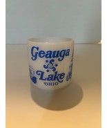 Vintage Federal Milk Glass D Handle Souvenir Mug GEAUGA LAKE OHIO - $54.70 CAD