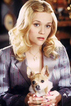 Reese Witherspoon photo Chihuahua dog Legally Blonde  11x17 Mini Poster - £10.38 GBP