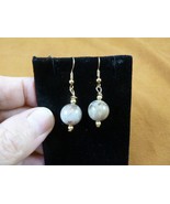 DP1-20a REAL DINOSAUR POOP 12mm bead dangle EARRINGS Utah ancient Dino C... - $26.63 CAD