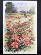 Pink Floral Flower Vintage Postcard 1911 Field Road Barn Antique - £9.24 GBP