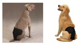 MALE PUP PANTS - Washable Cotton Reusable Cloth Diapers for Dogs CLOSEOUT - £10.27 GBP