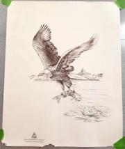 Bald Eagle Hunting Cat Fish Art Print Talons In Flight Charles W Schwartz - £15.09 GBP