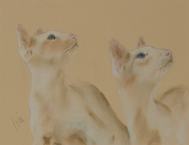 Siamese Cats Red Point Pastel Drawing Solomon - £98.75 GBP