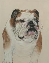 Bulldog Dog Art Pastel Drawing Solomon - $1,934.99 MXN