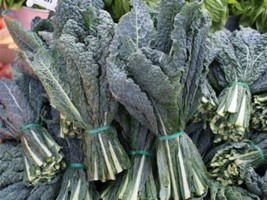 Black (Lacinato, Dinosaur) Kale Seeds 400 Garden Usa Shipping - $10.78