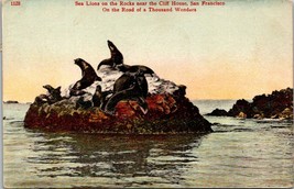 San Francisco California(CA) Sea Lions Rocks Cliff House Posted 1911 Postcard - £11.27 GBP