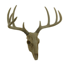 Little Bucky Wall Mounted Faux Aged Finish 10 Point Antlers Deer Skull 15 Inch - £38.65 GBP