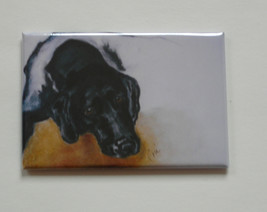 Black Labrador Dog Art Magnet Solomon - $6.50