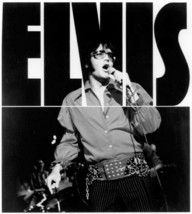 Elvis Presley in concert pose mini-style poster 8x10 photo - £7.76 GBP