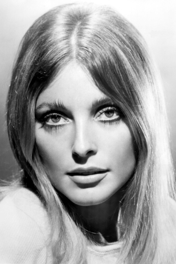 Primary image for Sharon Tate iconic portrait of 1960's legend 18x24 Poster