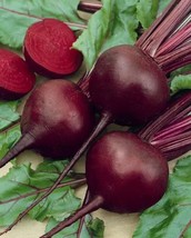 750+ DETROIT RED BEET SEEDS. FRESH FOR GARDENS - €4,76 EUR