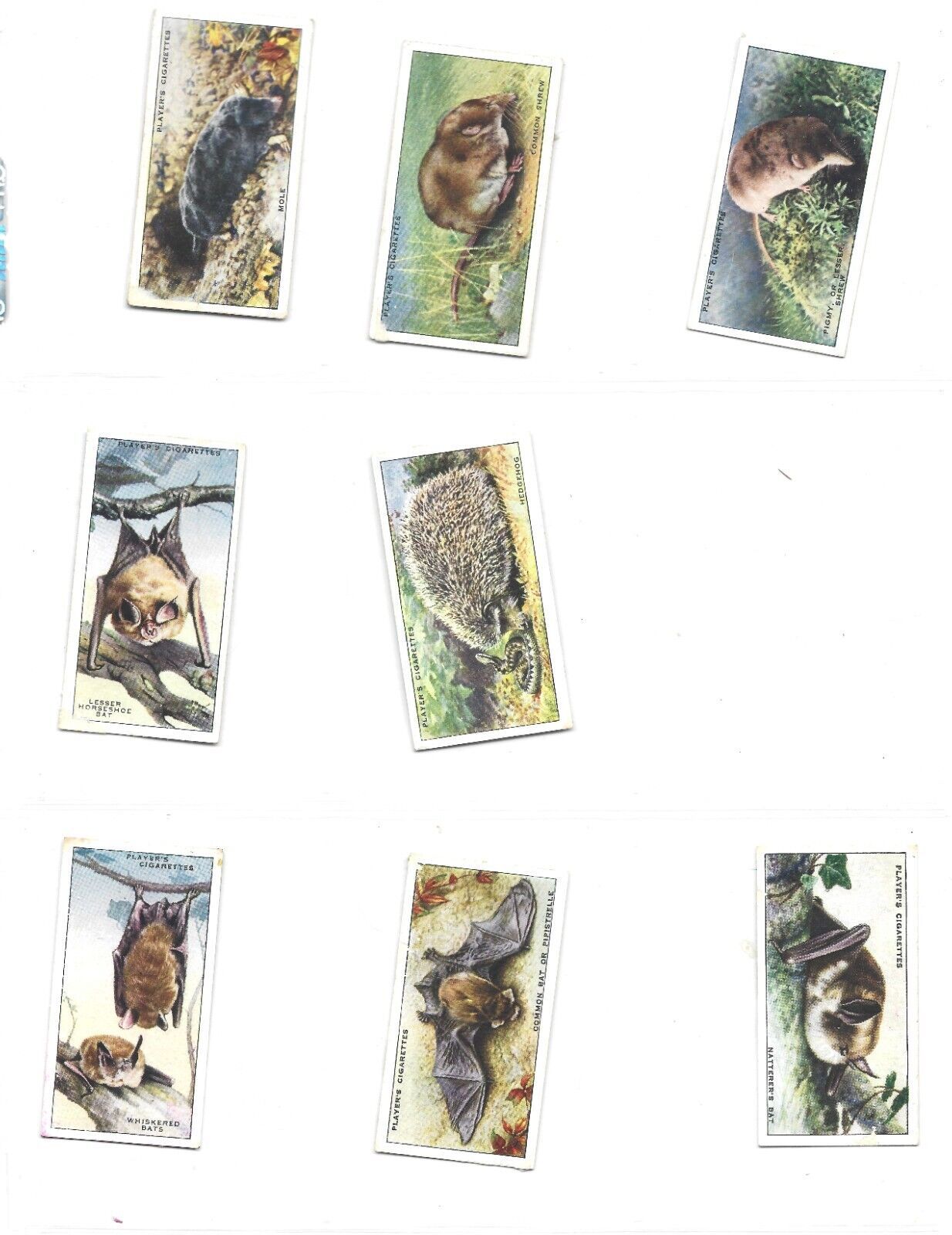 48 of 50 Card Set-Animals of the Countryside-John Player Cigarette Cards - $30.00