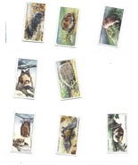 48 of 50 Card Set-Animals of the Countryside-John Player Cigarette Cards - £21.91 GBP