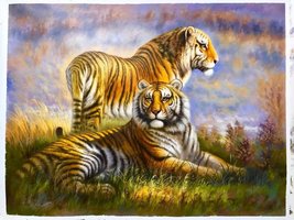 Original Hand-Painted Wide Tiger Oil Painting Unmounted Canvas 30x40 inches - £558.25 GBP
