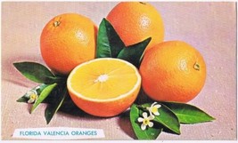 Postcard Advertising Florida Valencia Oranges - $4.94