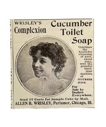 Wrisley Cucumber Toilet Soap 1894 Advertisement Victorian Hygiene ADBN1aaa - $19.99