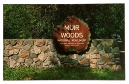 Muir Woods Nat&#39;l Monument Entrance Redwoods California CA Postcard c1970s - £4.72 GBP