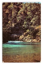 Big Spring State Park Scenic View Van Buren Missouri MO Chrome Postcard C17 - £3.68 GBP