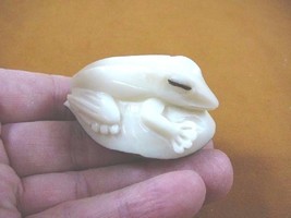 TNE-FROG-207A) little white Tree FROG amphibian TAGUA NUT Figurine carvi... - £21.78 GBP