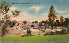 Antelope House Forest Park St. Louis MO Postcard PC559 - £7.04 GBP