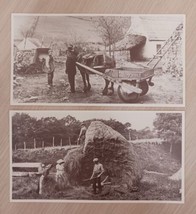 Dark Island Ireland Vtg postcard 1905 Lot 2 Farmyard hay horse - £6.97 GBP