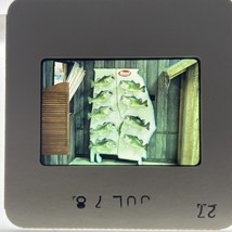 35mm Slide Mann’s Bait Company Sign Display 1978 - $149.16 MXN