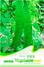 Heirloom Brazil Nut Sword Bean Vegetable Organic Seeds, Original Pack, 3 Seeds / - $3.50