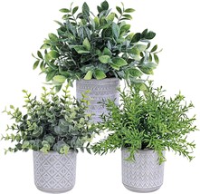 Set Of 3 Assorted Small Potted Plants With Faux Rosemary And Eucalyptus In Gray - £31.91 GBP