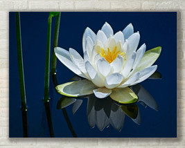 Lotus Flower, Floral, Nature Art, Zen - Fine Art Photo on Metal, Canvas ... - $31.50+