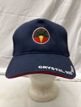 trucker hat baseball Cap Vintage Hook &amp; Loop Embroidered Crystal Beet Seed - $49.99