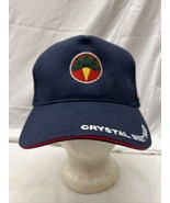 trucker hat baseball Cap Vintage Hook &amp; Loop Embroidered Crystal Beet Seed - $69.35 CAD