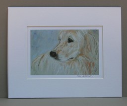 Golden Retriever Dog Art Print Matted Solomon - £11.79 GBP