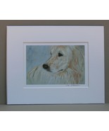 Golden Retriever Dog Art Print Matted Solomon - £11.96 GBP