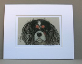 King Charles Cavalier Dog Art Print Matted Solomon - £11.74 GBP