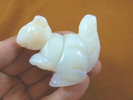 Y-SQU-725 little white Opalite SQUIRREL gemstone carving figurine love s... - $17.53