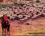 Vtg Postcard 1910s Agoure Sheep In California Newman Post Card Company UNP - £8.69 GBP